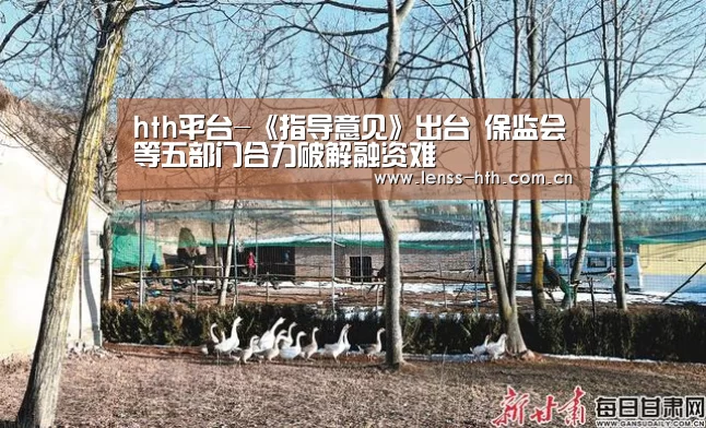hth平台-《指导意见》出台 保监会等五部门合力破解融资难(图4) hth手机版登录